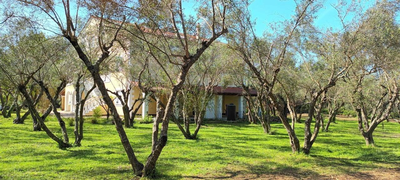 Antonios Olive Garden Acharavi Kerkyra Apartment Luaran gambar