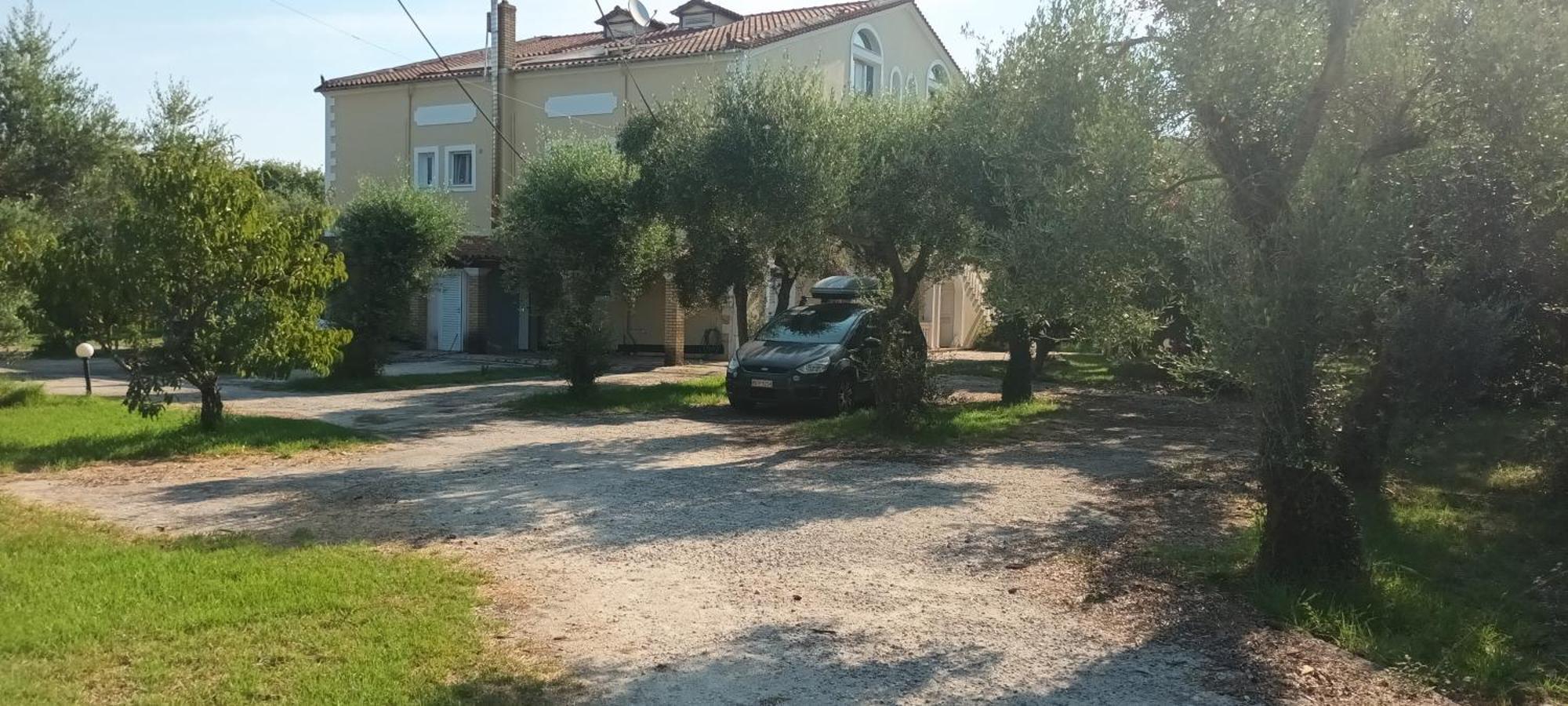 Antonios Olive Garden Acharavi Kerkyra Apartment Luaran gambar